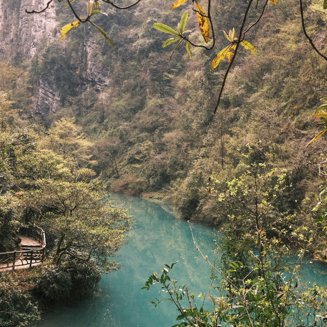 Zhangjiajie Grand Canyon: Must visit! 