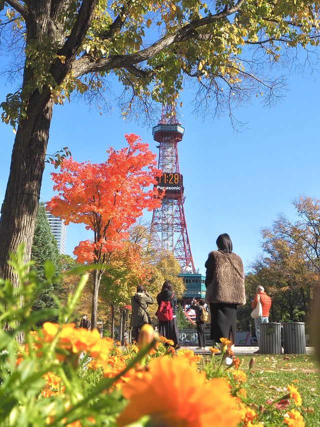 【北海道(札幌)】さっぽろテレビ塔に行くならお得なチケットで🉐