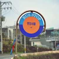 🌿 중엄리새물, 제주의 오래된 생활 터전