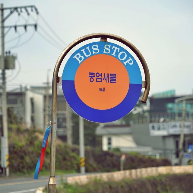 🌿 중엄리새물, 제주의 오래된 생활 터전