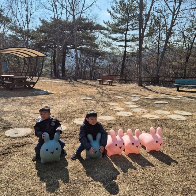 Alpaca World in Seoul