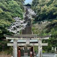 警固神社：漫步賞花