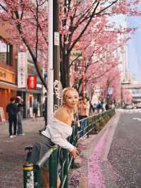 Cherry Blossom in Shibuya Tokyo 🌸🇯🇵