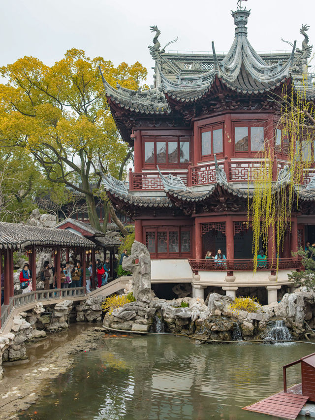 Yuyuan Garden สวนจีนโบราณอายุ 400 ปี ที่เซี่ยงไห้