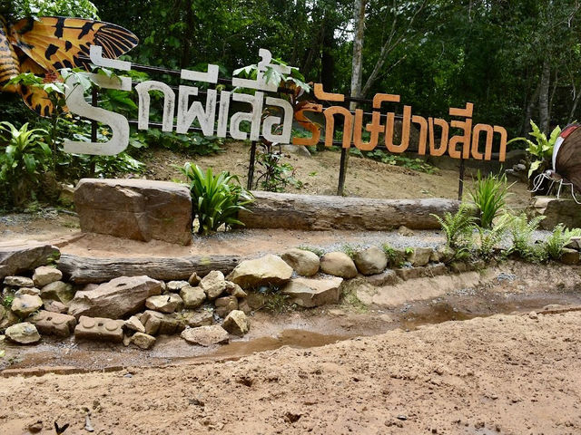 The Park that are famous for Butterflies 