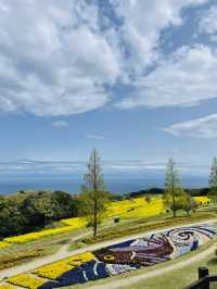 【兵庫県】あわじ花さじきで春のお花畑を愛でよう！