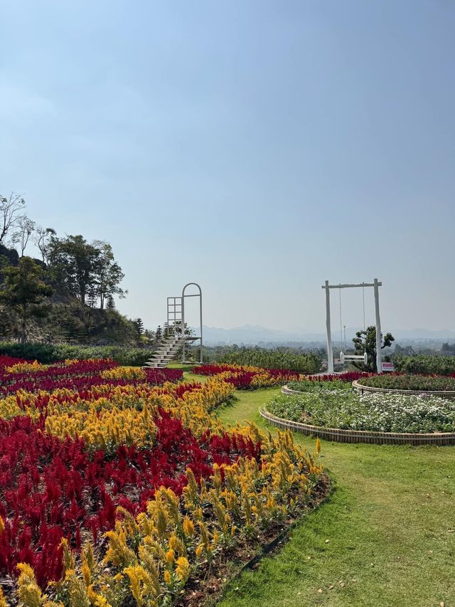 The Peak Flower Land 💐