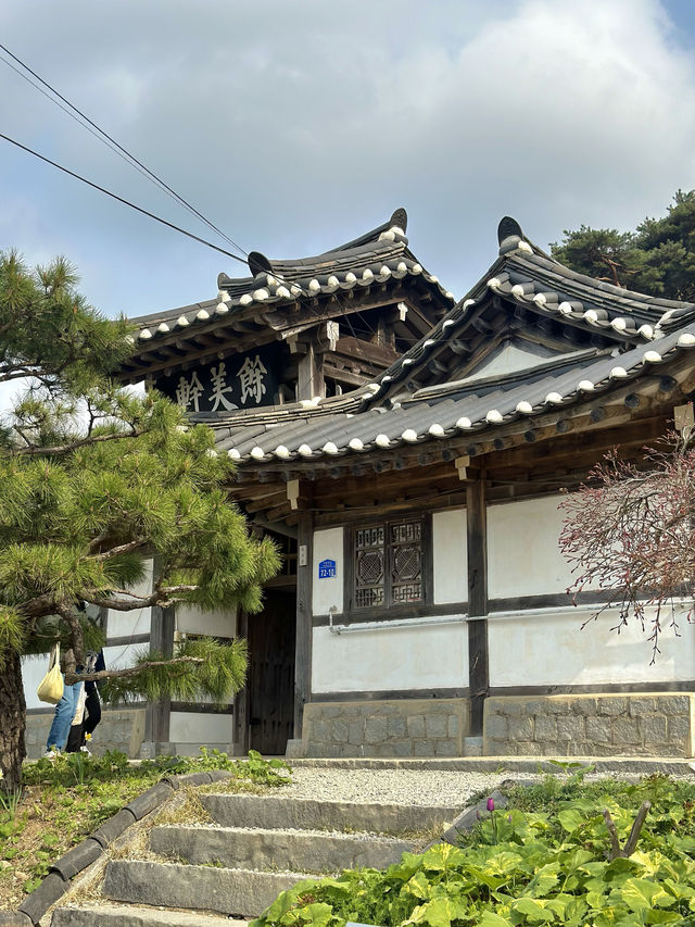 수선화를 볼 수 있는 유기방가옥 🌼