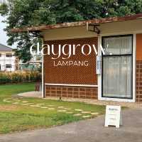 Daygrow cafe ลำปาง ☕️✨