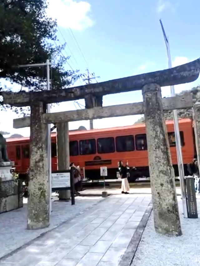 【佐賀観光】有田焼の鳥居が目を引く⛩運が良ければ鳥居の前を通る電車を見られるかも🚃