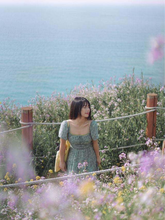 🇰🇷濟州島｜在咸德犀牛峰的隱藏版景點-蘿蔔花💜