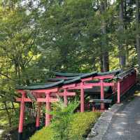 芥川櫻堤公園：城市綠洲，感受大自然之美