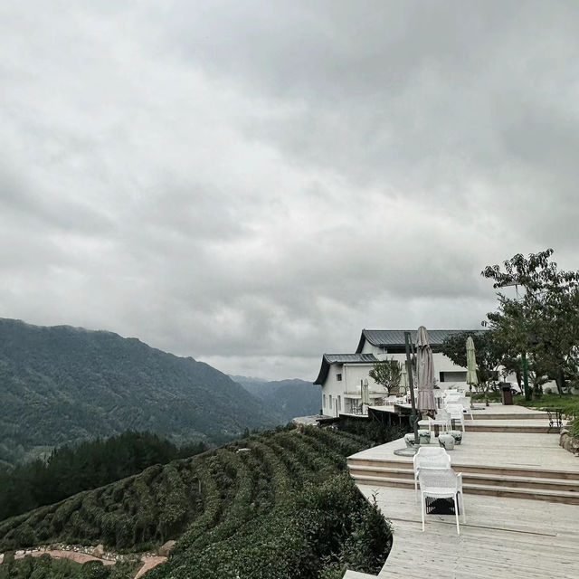 臺北茶鄉景點～農林熊空茶園～山水景緻