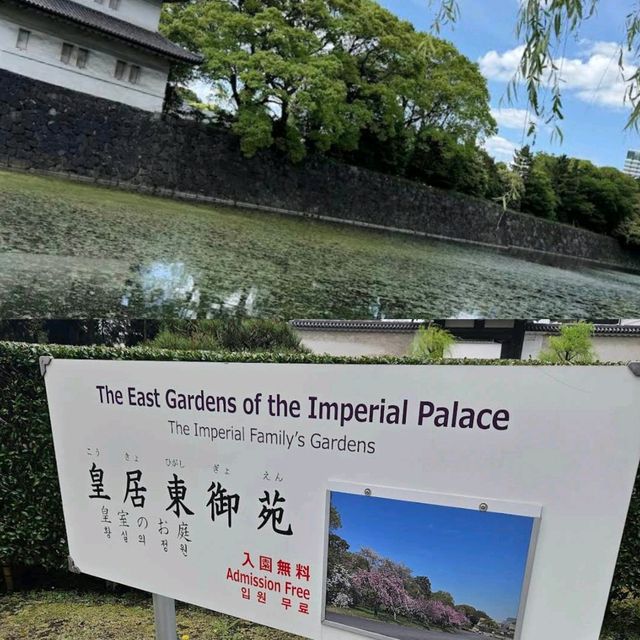 【東京】皇居外苑：寧靜自然環境，適合休閒散步