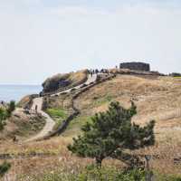 足摺岬：絕美海岬風景區，適合春天旅遊