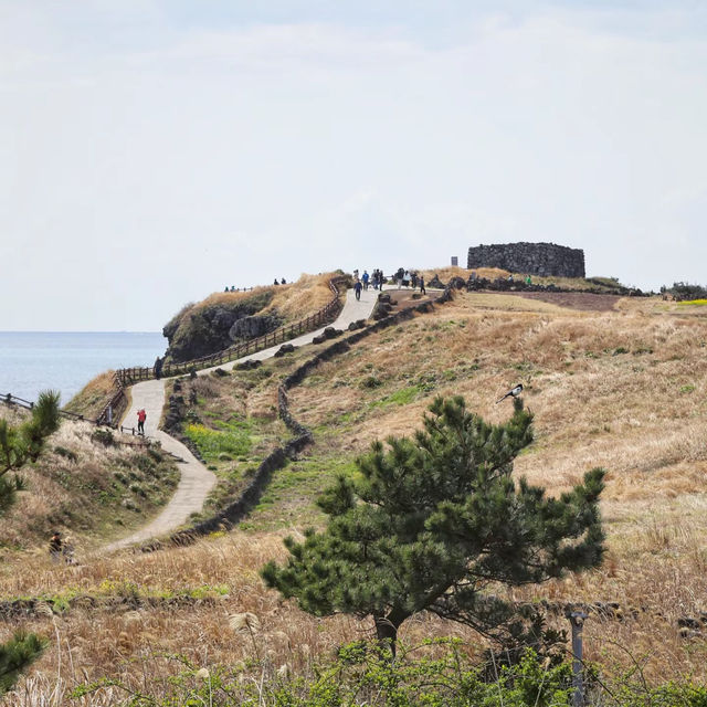 足摺岬：絕美海岬風景區，適合春天旅遊