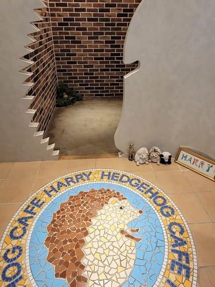 Harry's Hedgehog Cafe 