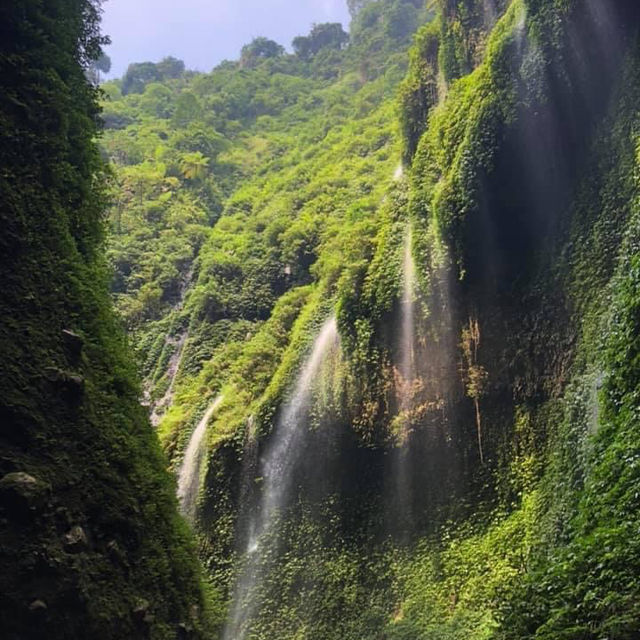 Nature's Masterpiece: Tumpak Sewu Waterfalls