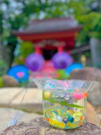 【茨城】紫陽花の水中花が絶景すぎる💙一度は行きたいあじさい寺