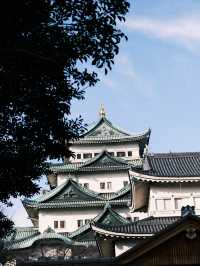 【名古屋】必到景點！名古屋城🏯歷史文物珍藏