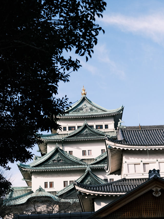 【名古屋】必到景點！名古屋城🏯歷史文物珍藏