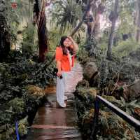 คาเฟ่แนวธรรมชาติวิวภูเขาบรรยากาศร่มรื่น 