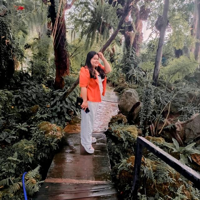 คาเฟ่แนวธรรมชาติวิวภูเขาบรรยากาศร่มรื่น 