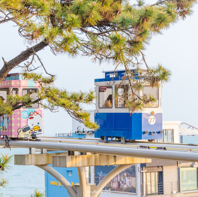 Haeundae Sky Capsule รถไฟปุ๊กปิ๊กแห่งเมืองปูซาน