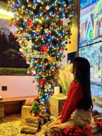 🎄창원근교 유일하게 거꾸로 트리 볼 수 있는 곳 이뿌니까 박제💗