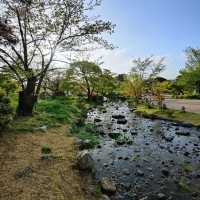 岡谷湖畔公園：春天好去處，適合漫步和欣賞大自然