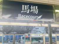Must watch Horse Racing in Hong Kong 🇭🇰 🐎‼️