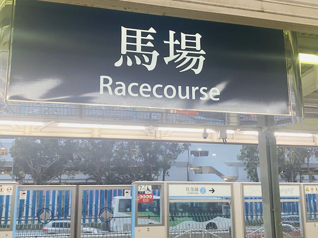 Must watch Horse Racing in Hong Kong 🇭🇰 🐎‼️