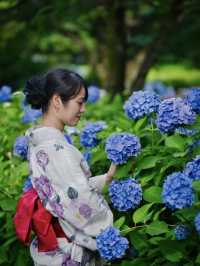 【神奈川】無料で楽しめる😍子連れにもオススメの穴場紫陽花スポット