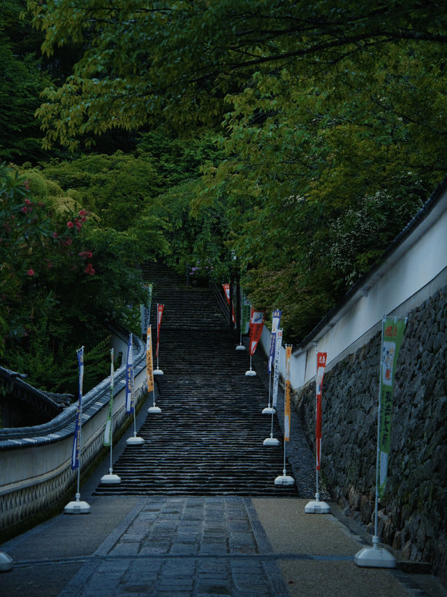【奈良】期間限定‼️梅雨の時期こそ楽しめる😍紫陽花×階段映え絶景✨