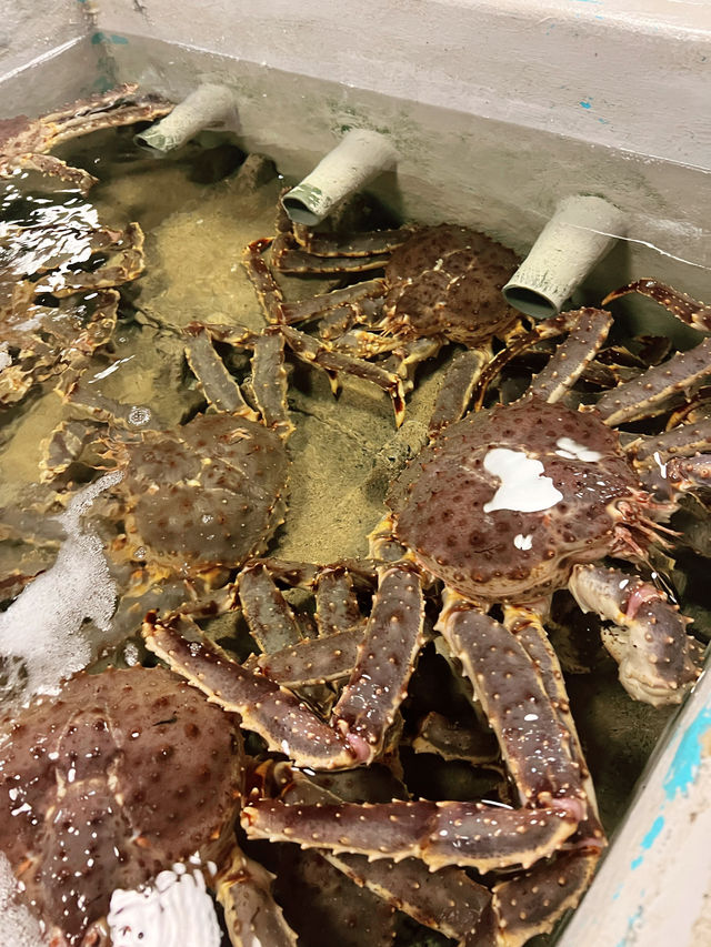 Taipei Fish Market