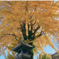 【福岡観光】直方観光はこちらへ