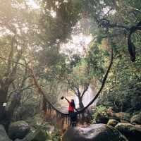 Hidden Gem: Tranquil Adventure at Susung Waterfall
