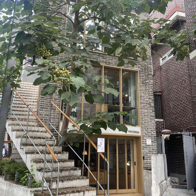 자연광이 눈부시는 상수 카페 [Protokol]🍃