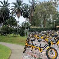 【吉隆坡】Taman Botani Putrajaya：自行車遊湖景，適合任何時間和場景