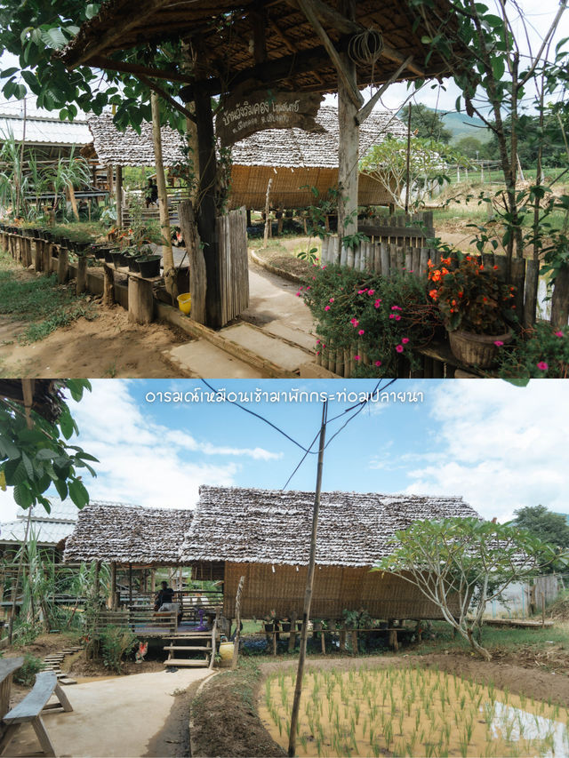 ที่พักชิลๆ ที่เมืองคอง อ.เชียงดาว