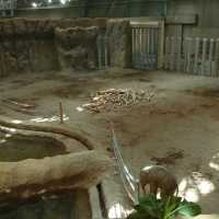 北海道第一座動物園，有北極熊館和日本最大象舍
