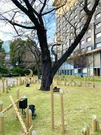 東京　東京観光　プリンスホテル日本庭園は圧巻の庭園だったぞ！