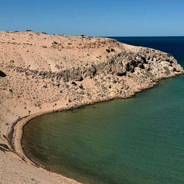 Wonders of Shark Bay World Heritage Area 🇦🇺🦈