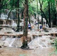 น้ำตกวังสายทอง
