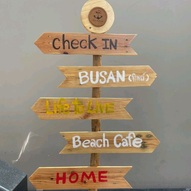 🌊 s'more beach cafe