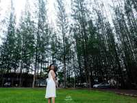 ภูผา ป่าสน ราชบุรี