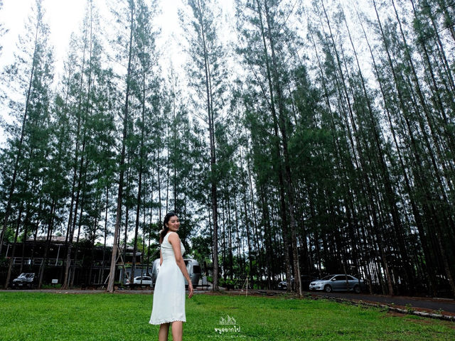 ภูผา ป่าสน ราชบุรี