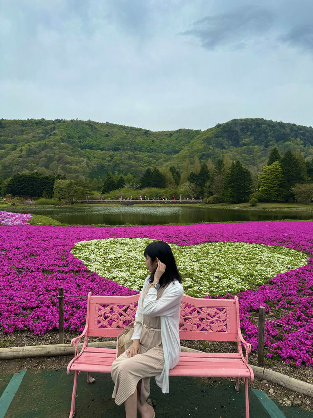 〜山梨県〜目が覚める👀日本一の絶景スポット🌸富士芝桜祭り✨