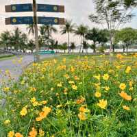 📍🌳 สวนหลวง ร.9 (MRT หัวหมาก สายสีเหลือง)