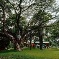 🌳คาเฟ่ในสวน บรรยากาศดี @กาญจนบุรี